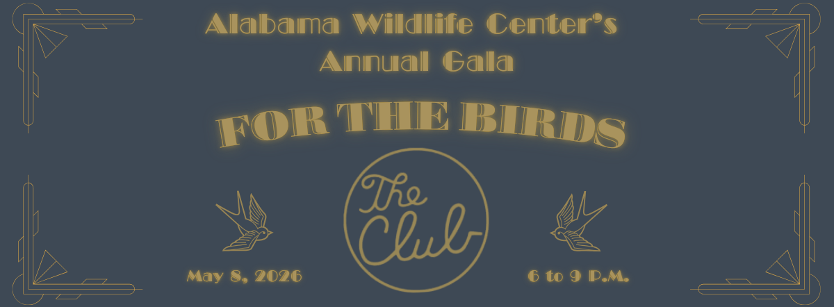 AWC's For the Birds 2026